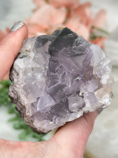 Chinese Purple Fluorite Clusters