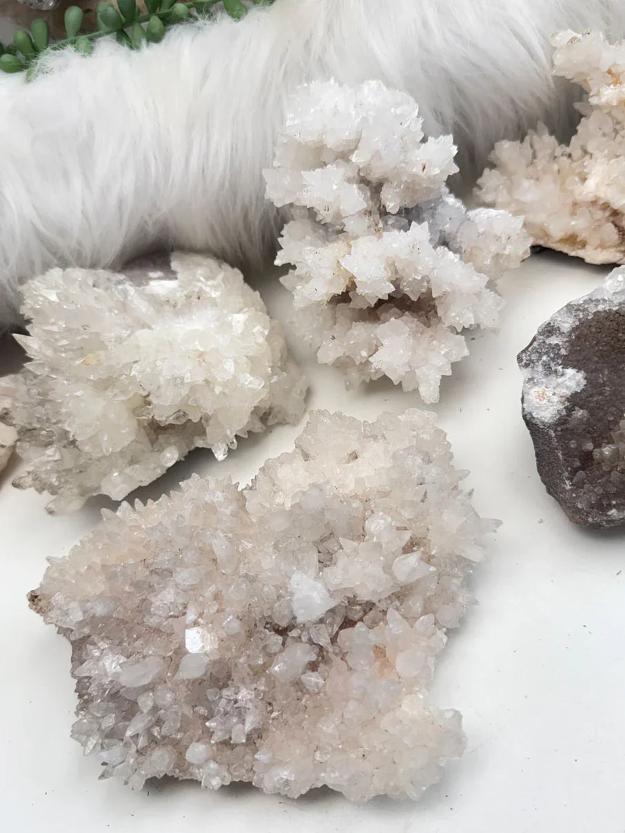 mexican-aragonite