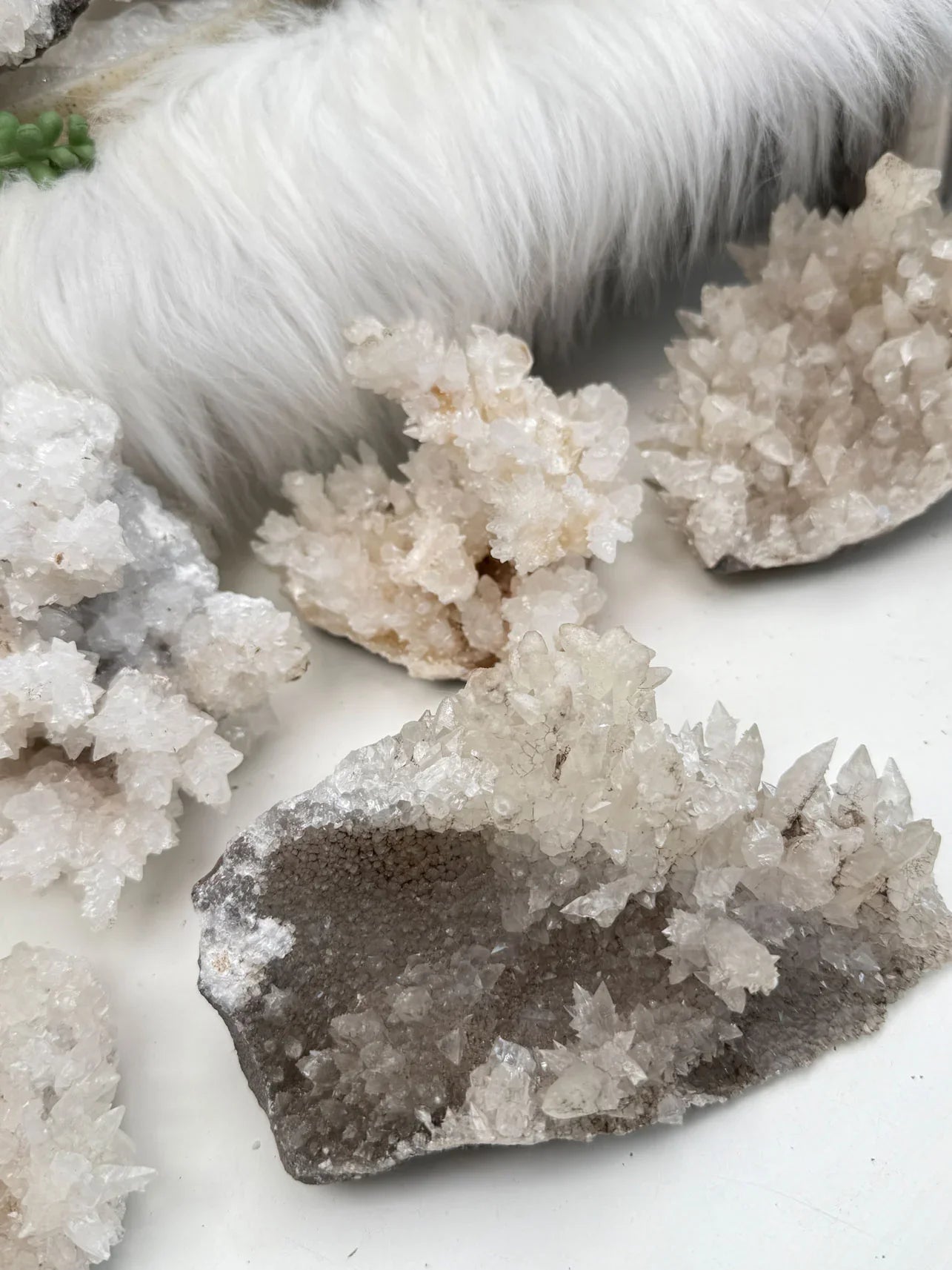 Mexican Aragonite Crystals