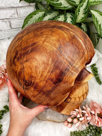 Indonesian Wood Skulls