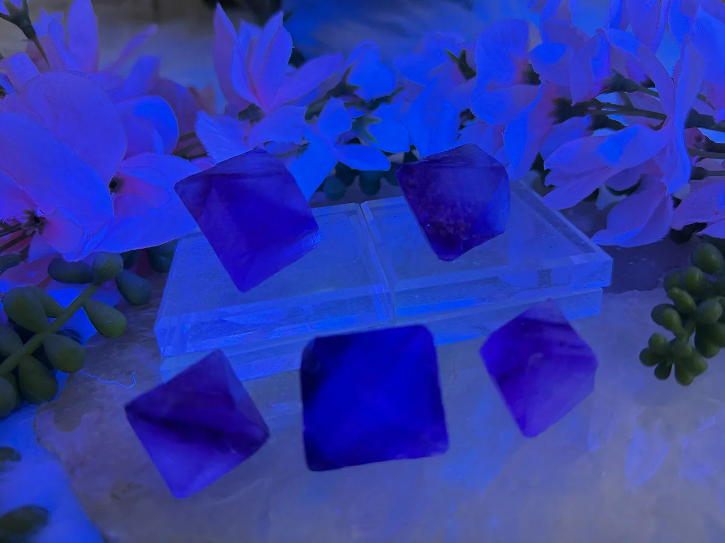 purple-fluorite-octahedron-crystals