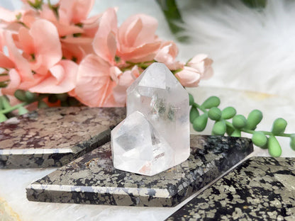 black-gold-pyrite-slab-display