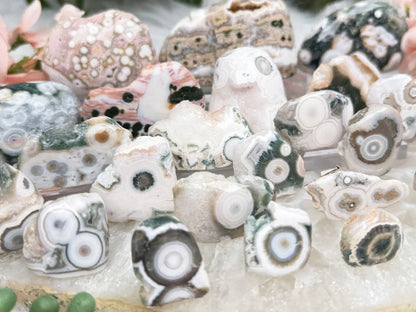 small-old-stock-ocean-jasper_1f3a6fd1-a2c2-4d0f-aaa6-74ce0666fbdd