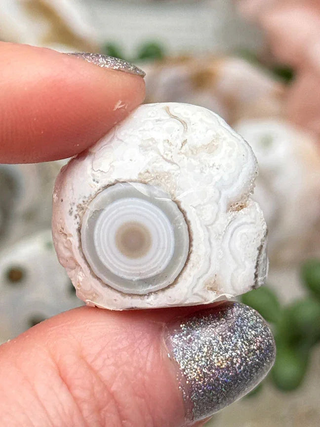 Old Stock Ocean Jasper