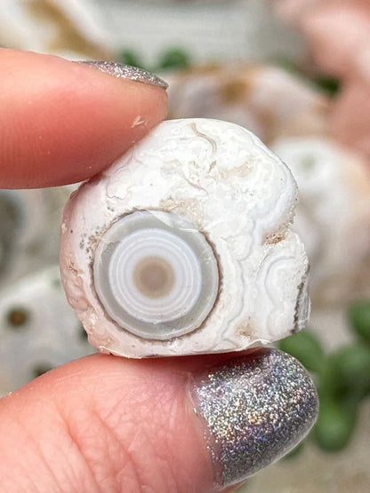 Old Stock Ocean Jasper