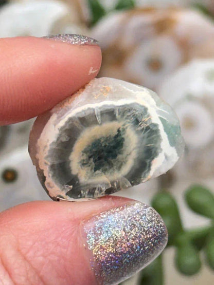 Old Stock Ocean Jasper