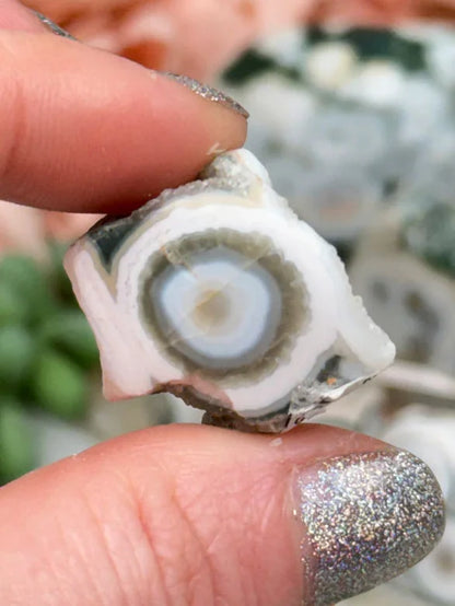 Old Stock Ocean Jasper