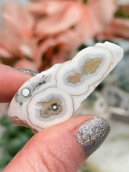 Old Stock Ocean Jasper