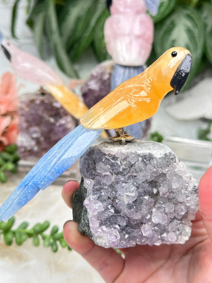 Crystal Birds