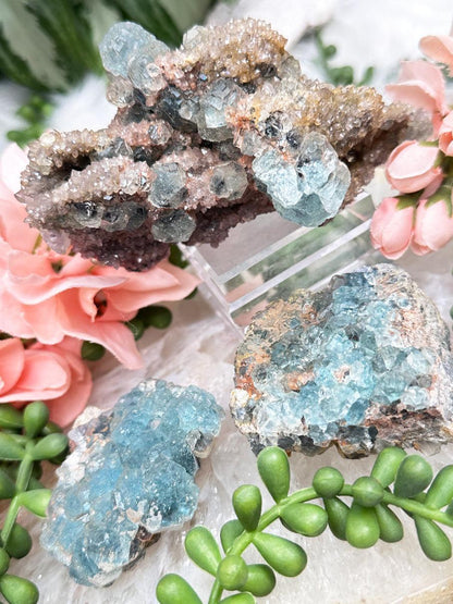 Teal Fluorite Clusters