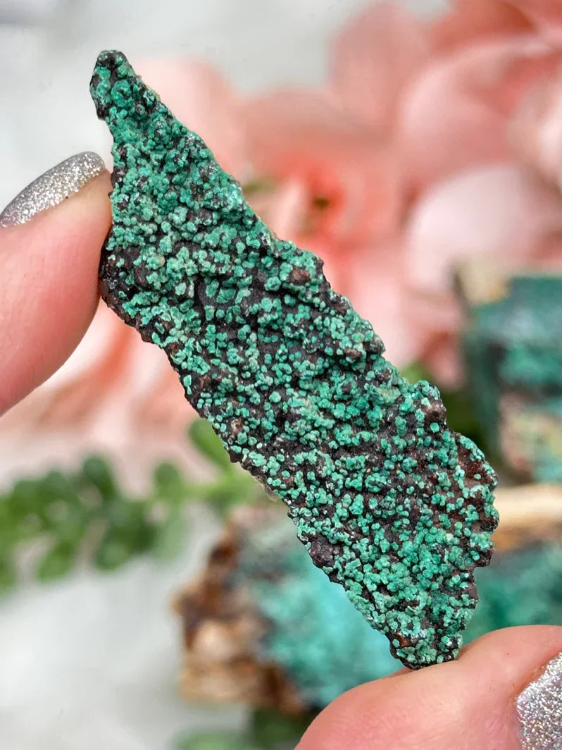botryoidal-malachite-on-chrysocolla