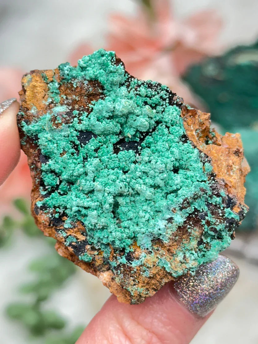 Morocco Malachite Chrysocolla