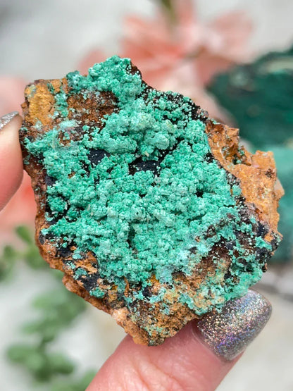 Morocco Malachite Chrysocolla