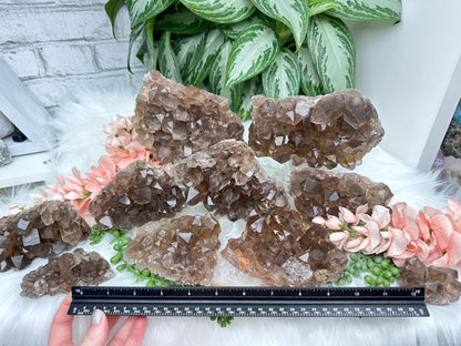 Smoky Quartz Clusters