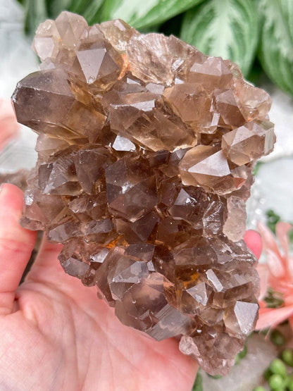 Smoky Quartz Clusters