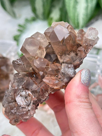 Smoky Quartz Clusters