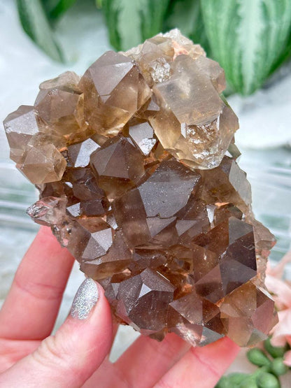 Smoky Quartz Clusters