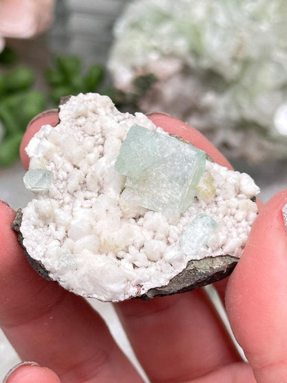 Green Apophyllite Clusters