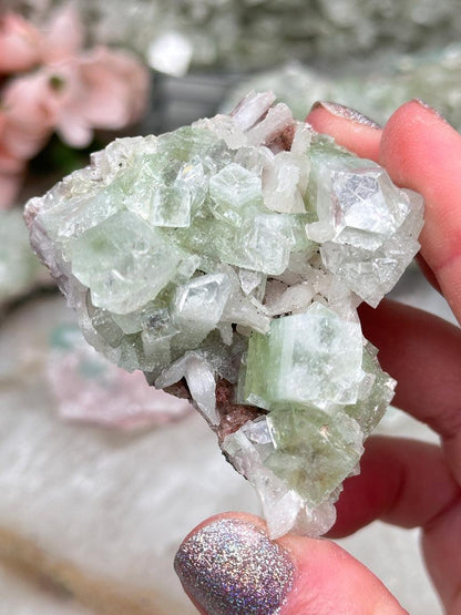 Green Apophyllite Clusters