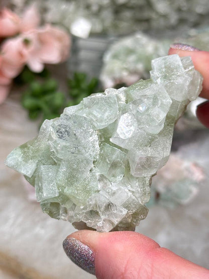 Green Apophyllite Clusters
