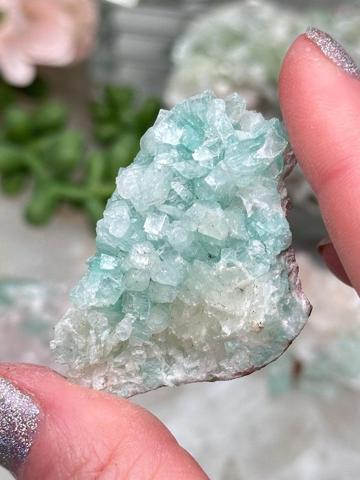 Green Apophyllite Clusters