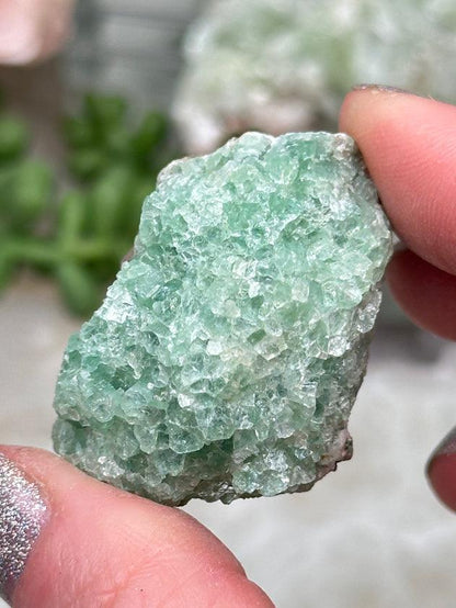 Green Apophyllite Clusters
