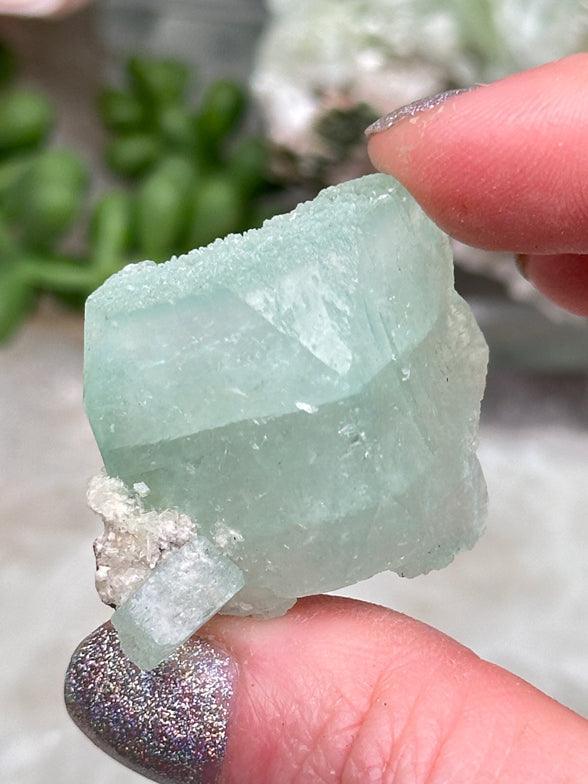 Green Apophyllite Clusters