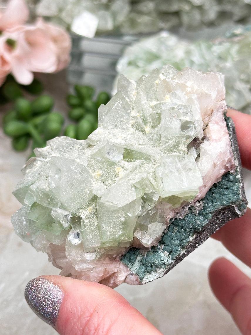 Green Apophyllite Clusters
