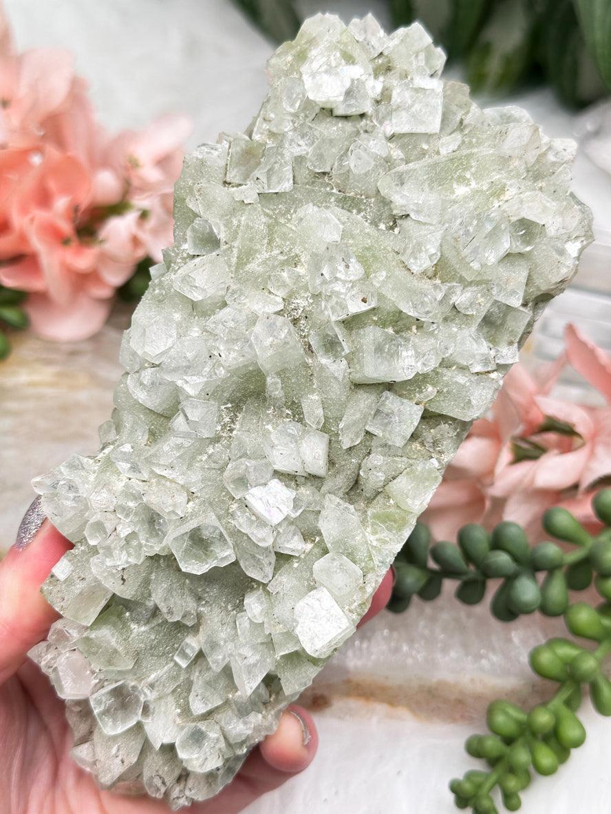 Green Apophyllite Clusters