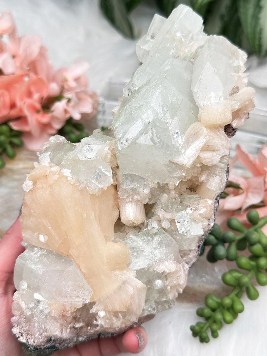 Green Apophyllite Clusters