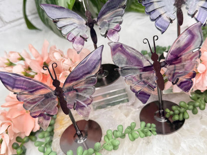 rainbow-fluorite-butterflies