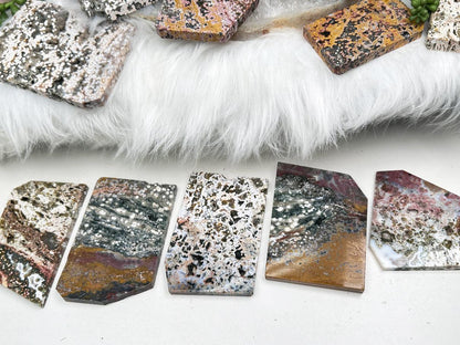 colorful-orbicular-jasper-slabs