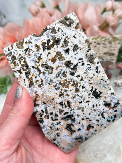 Colorful Ocean Jasper Slabs