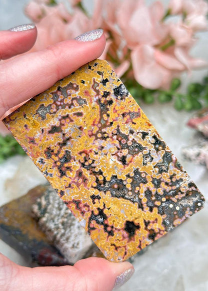 Colorful Ocean Jasper Slabs