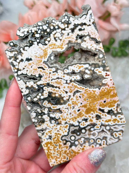 Colorful Ocean Jasper Slabs