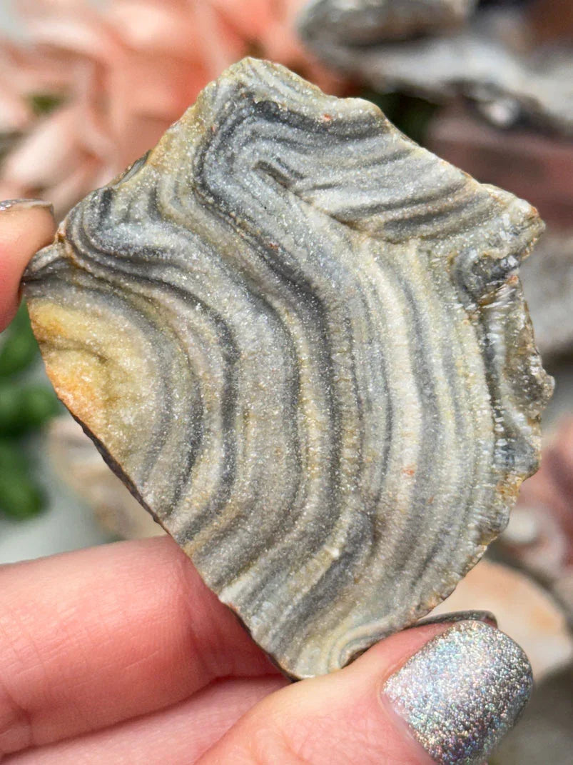 Druzy Chalcedony Flowers