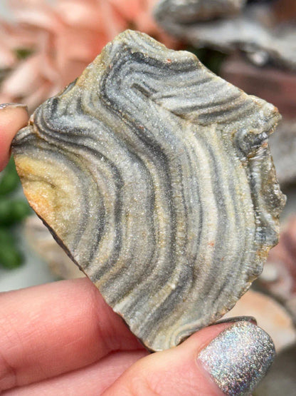 Druzy Chalcedony Flowers