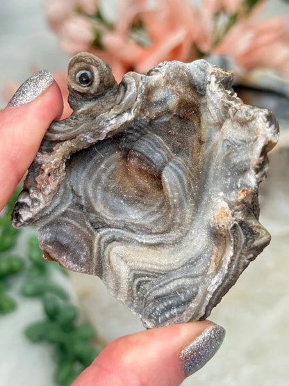 Druzy Chalcedony Flowers