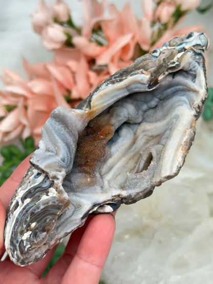 Druzy Chalcedony Flowers