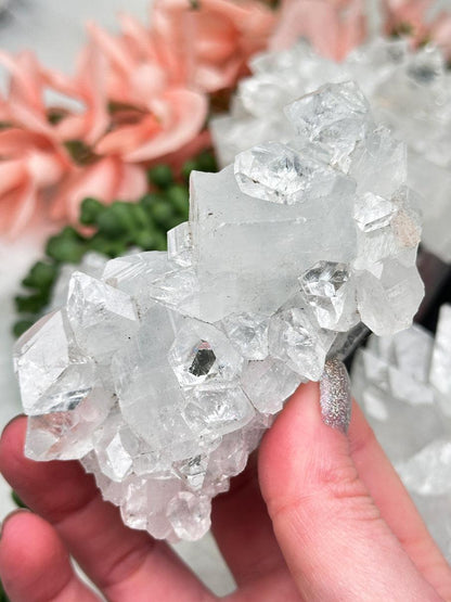Higher End White Apophyllite
