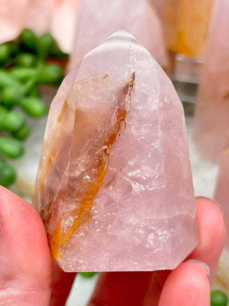 Golden Healer Rose Quartz Points