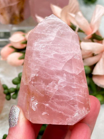 Golden Healer Rose Quartz Points
