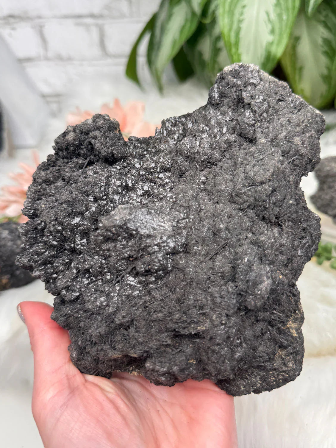 Black Tourmaline Quartz Clusters