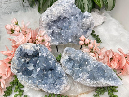 Blue Celestite Geodes for sale