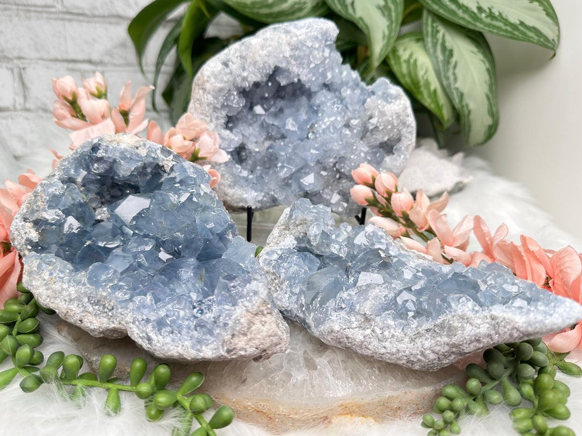 Blue Celestite Geodes