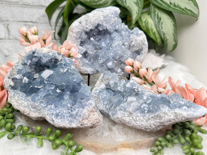 Blue Celestite Geodes