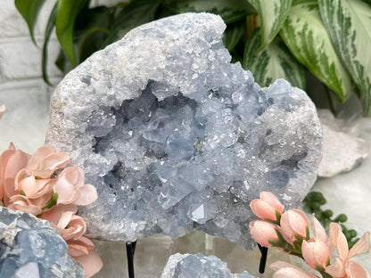 Blue Celestite Clusters