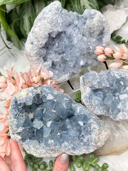 Blue Celestite Geodes