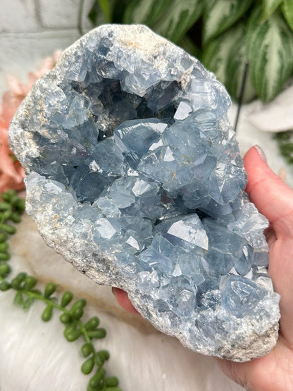 Blue Celestite Geodes