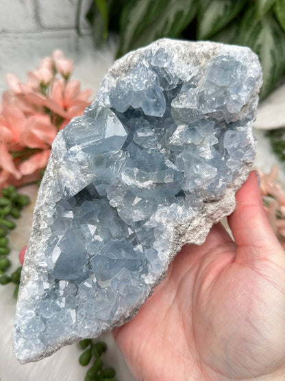 Blue Celestite Clusters